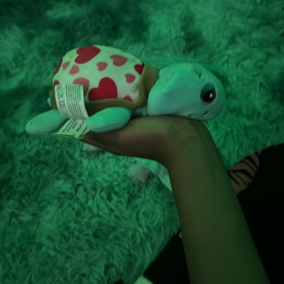 Turtle - Picture 3 of 8